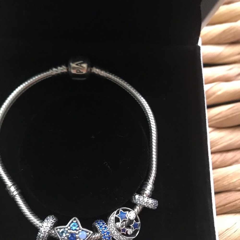 Pandora Silver Bracelet+ 5 Charms.